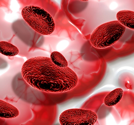 L-Arginine HCL ingredient in BloodPril